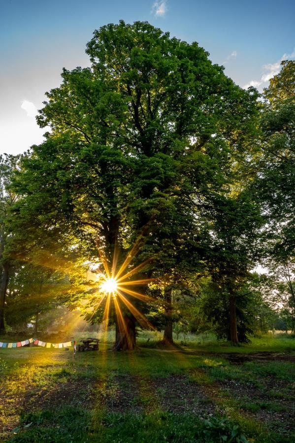 Biorezydencja Świeradów-Zdrój Exteriör bild