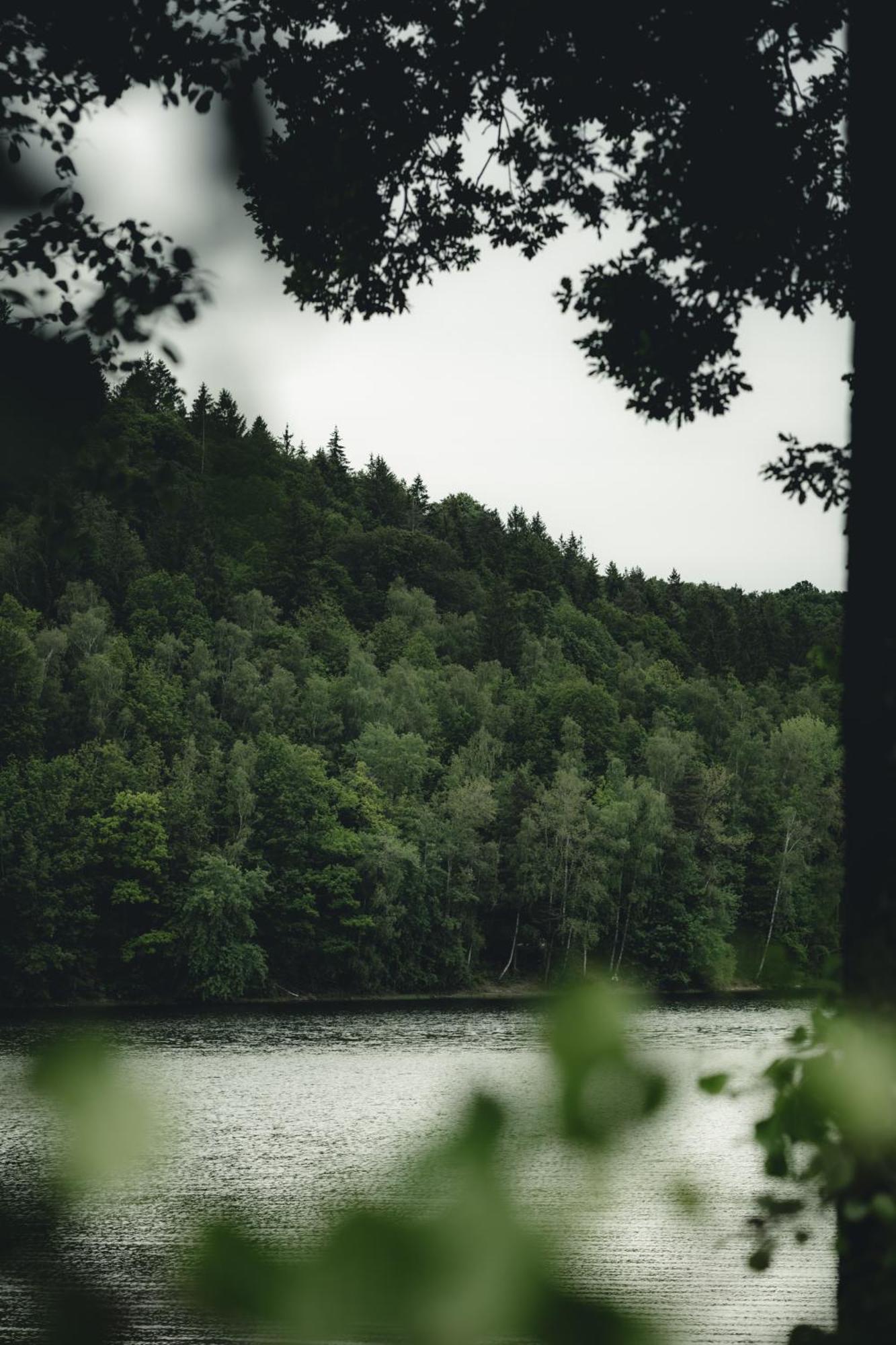 Biorezydencja Świeradów-Zdrój Exteriör bild